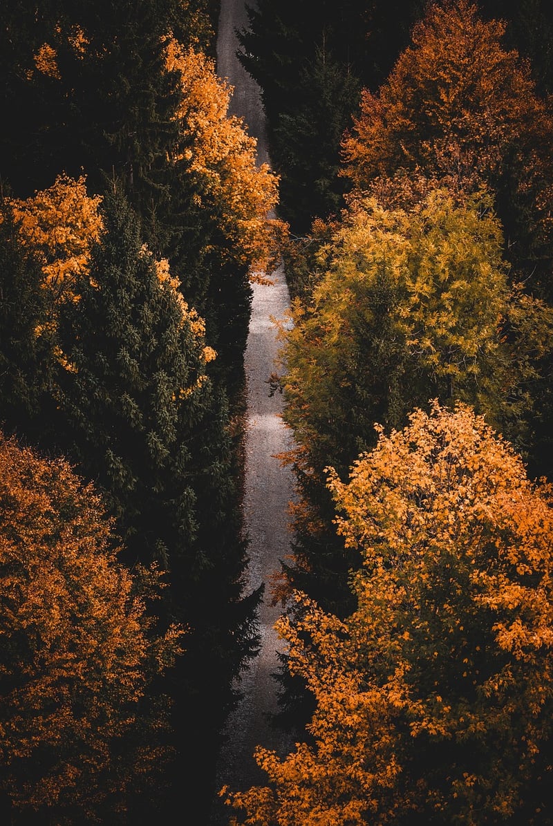 Meditation